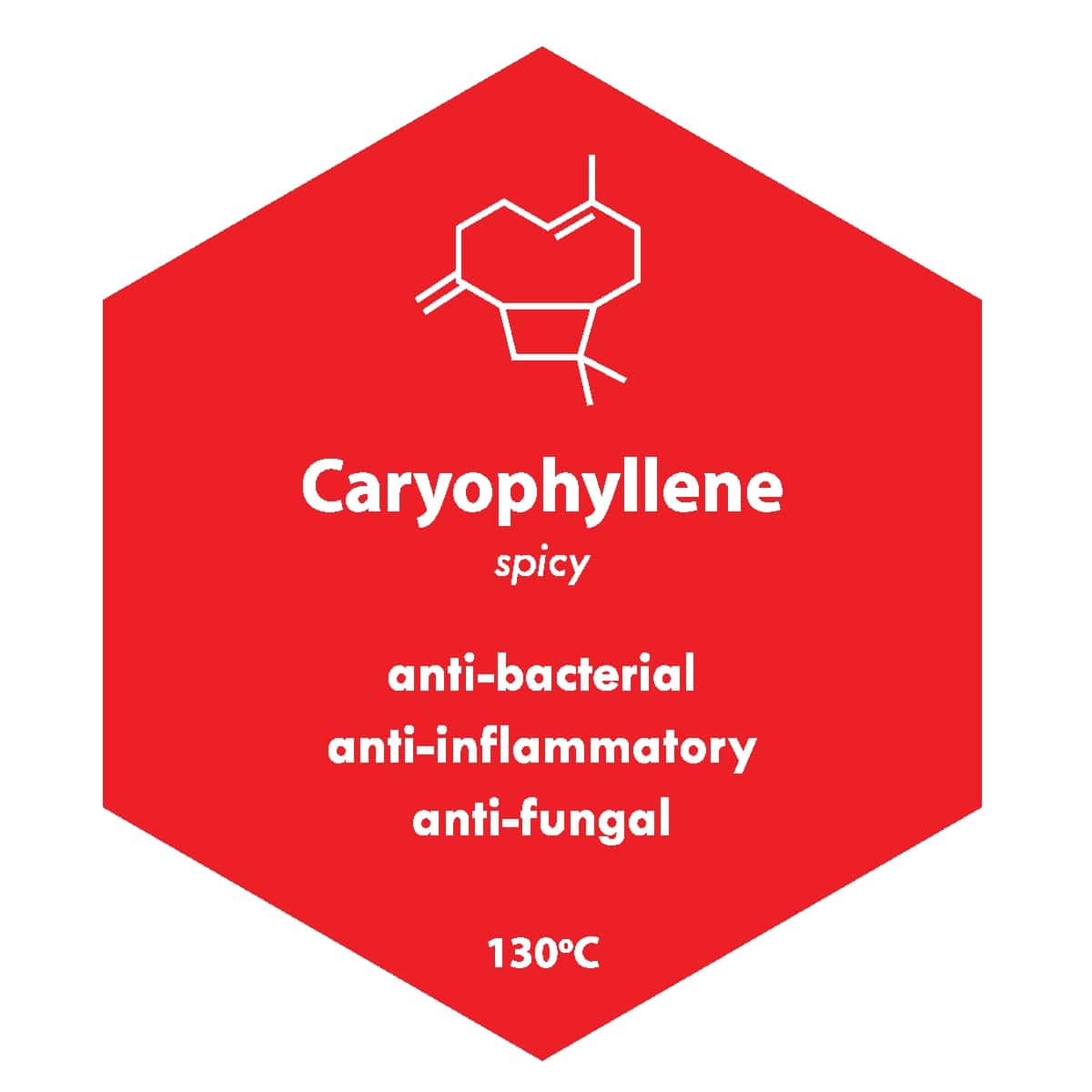 Cannabis Caryophyllene Terpenes: What Does It Do?