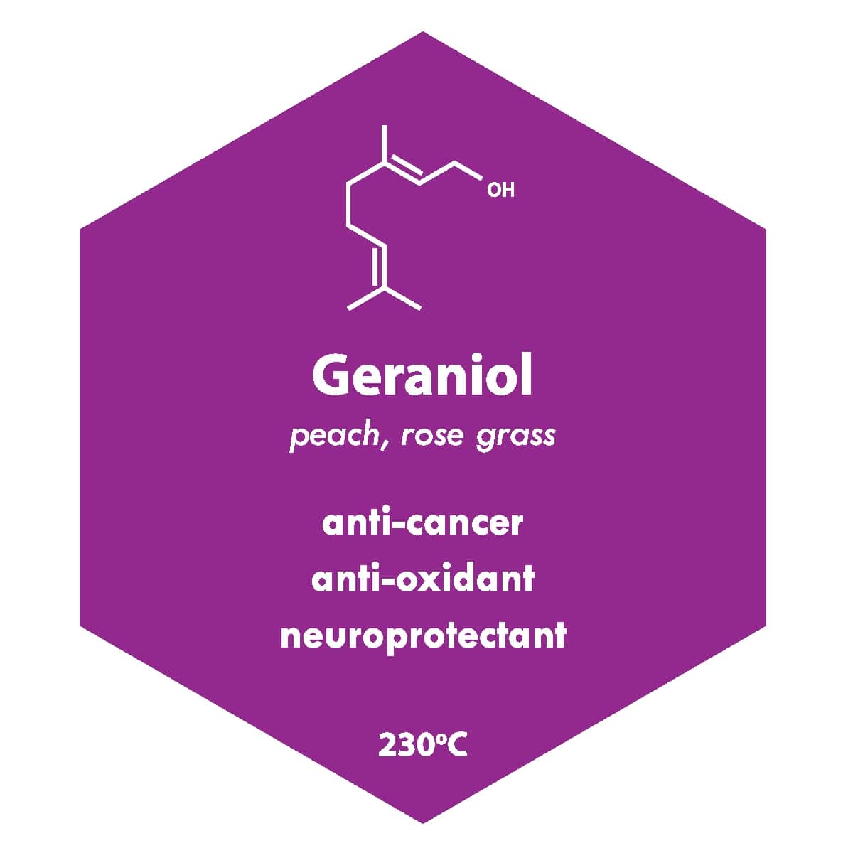 Cannabis Geraniol Terpenes: What Does It Do?
