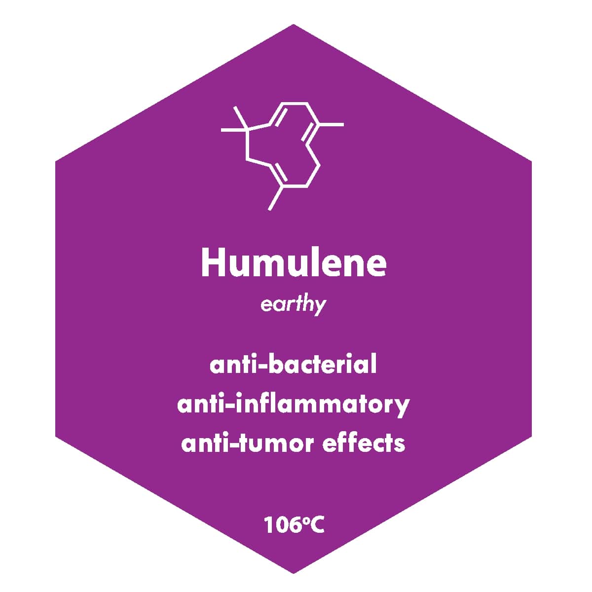 Cannabis Humulene Terpenes: What Does It Do?