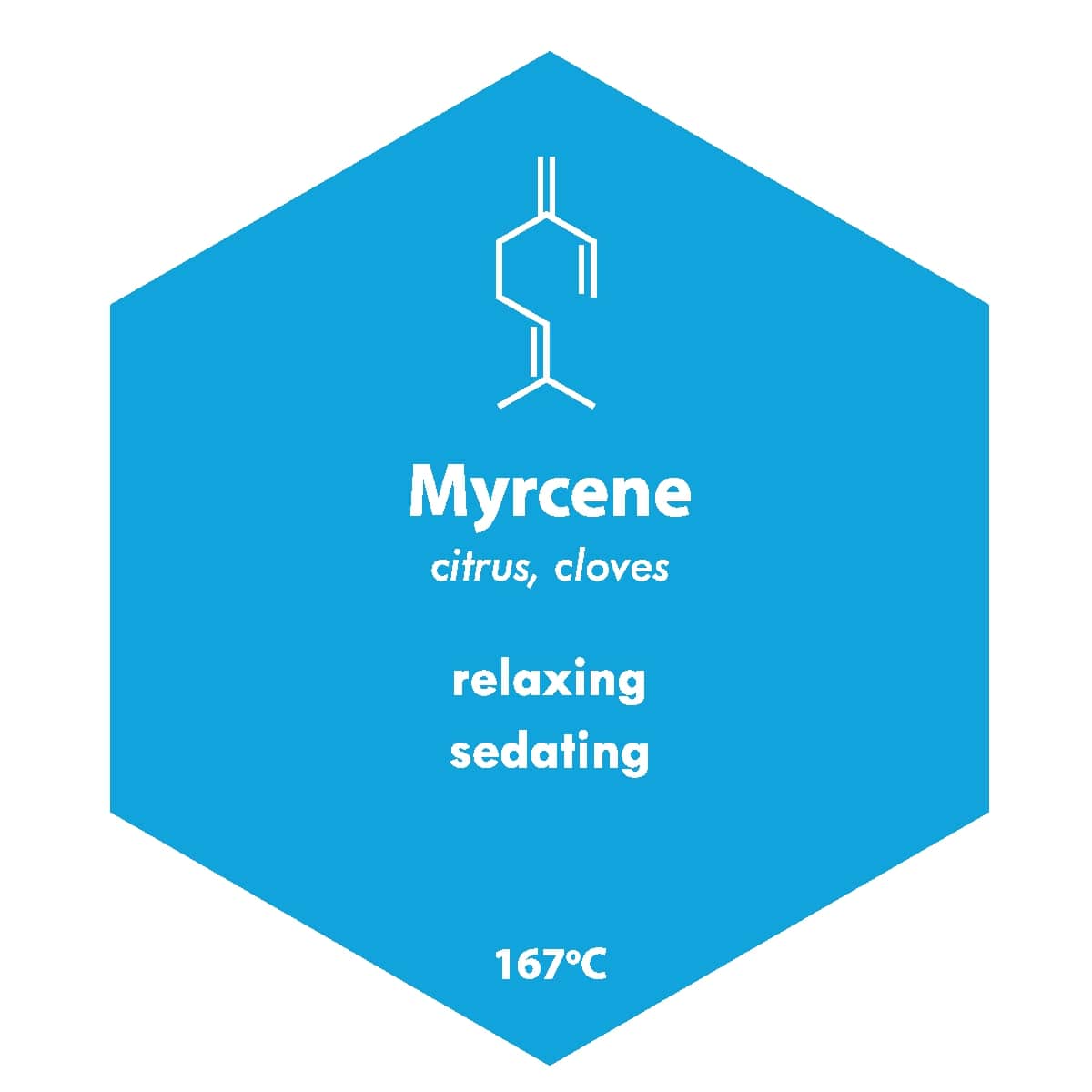 Cannabis Myrcene Terpenes: What Does It Do?