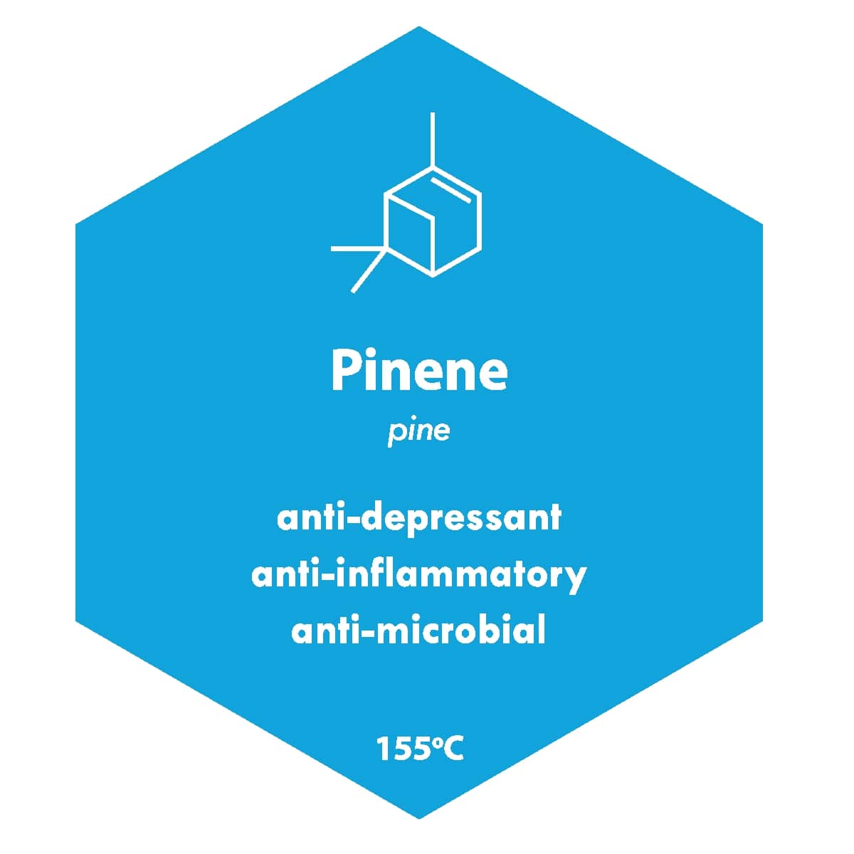 Cannabis Pinene Terpenes: What Does It Do?