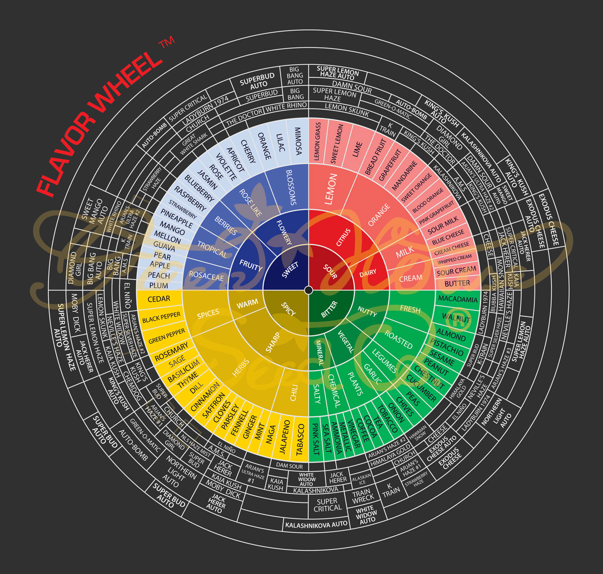Terpene Wheel - Credit to Green House Seeds