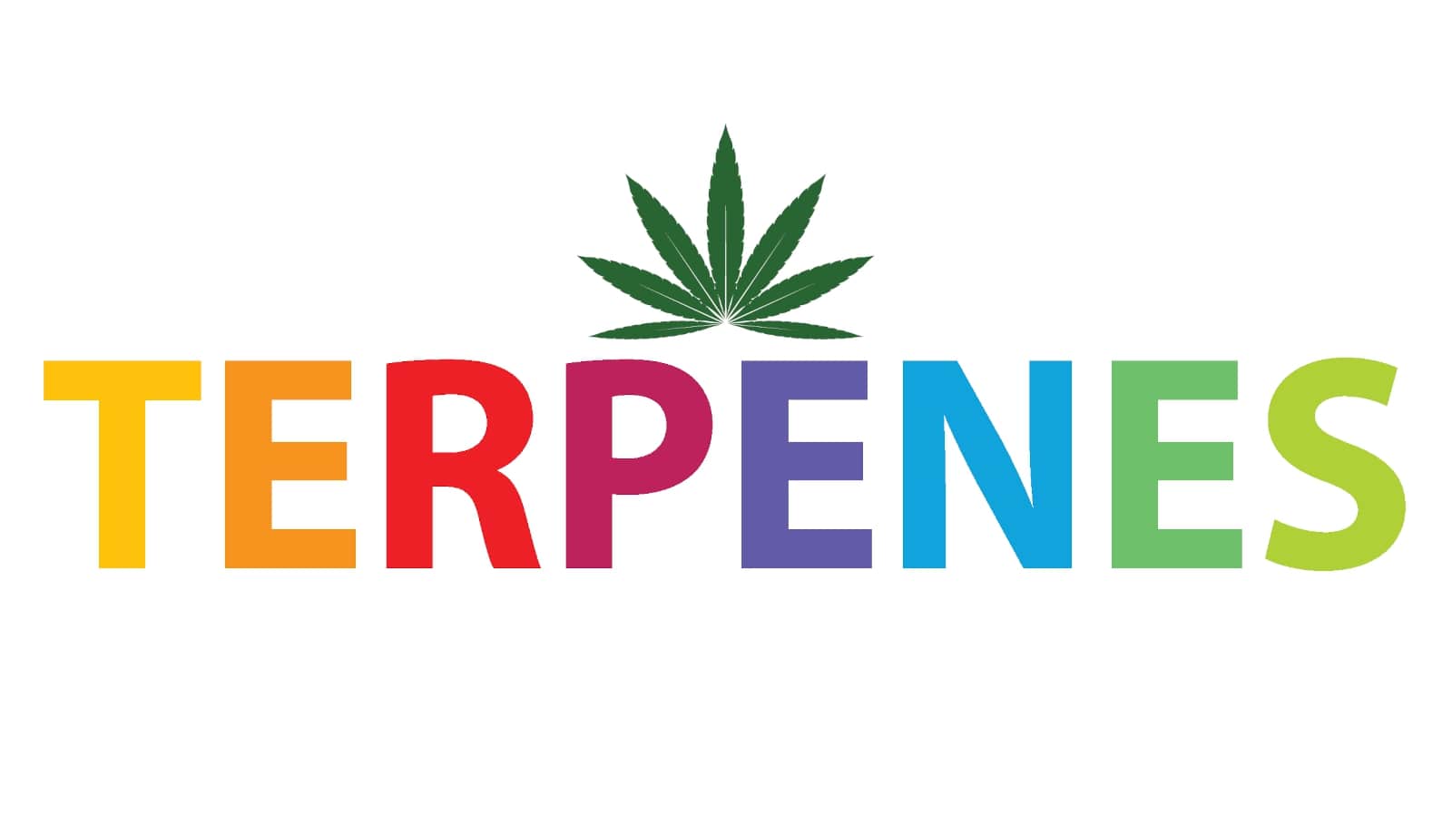 Cannabis Terpenes: What Are They And What Do They Do?