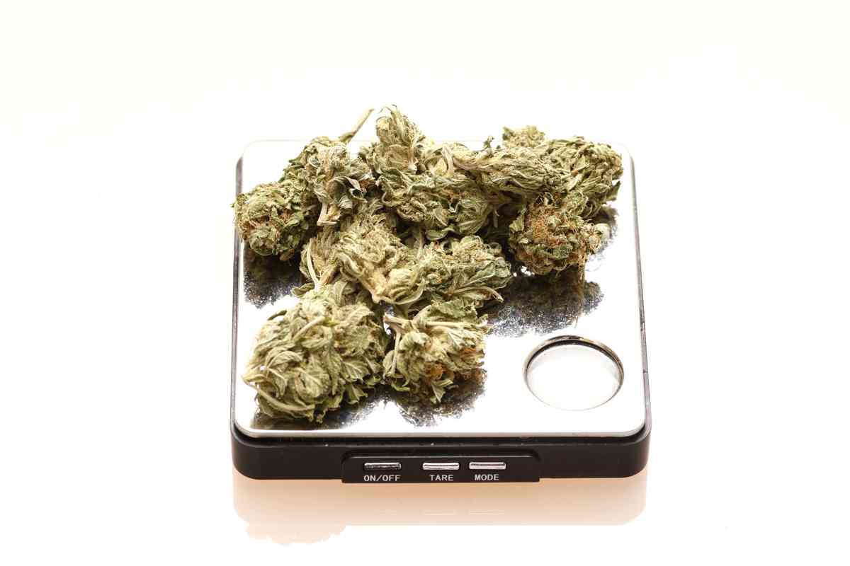 Weighing marijuana to measure its THC content