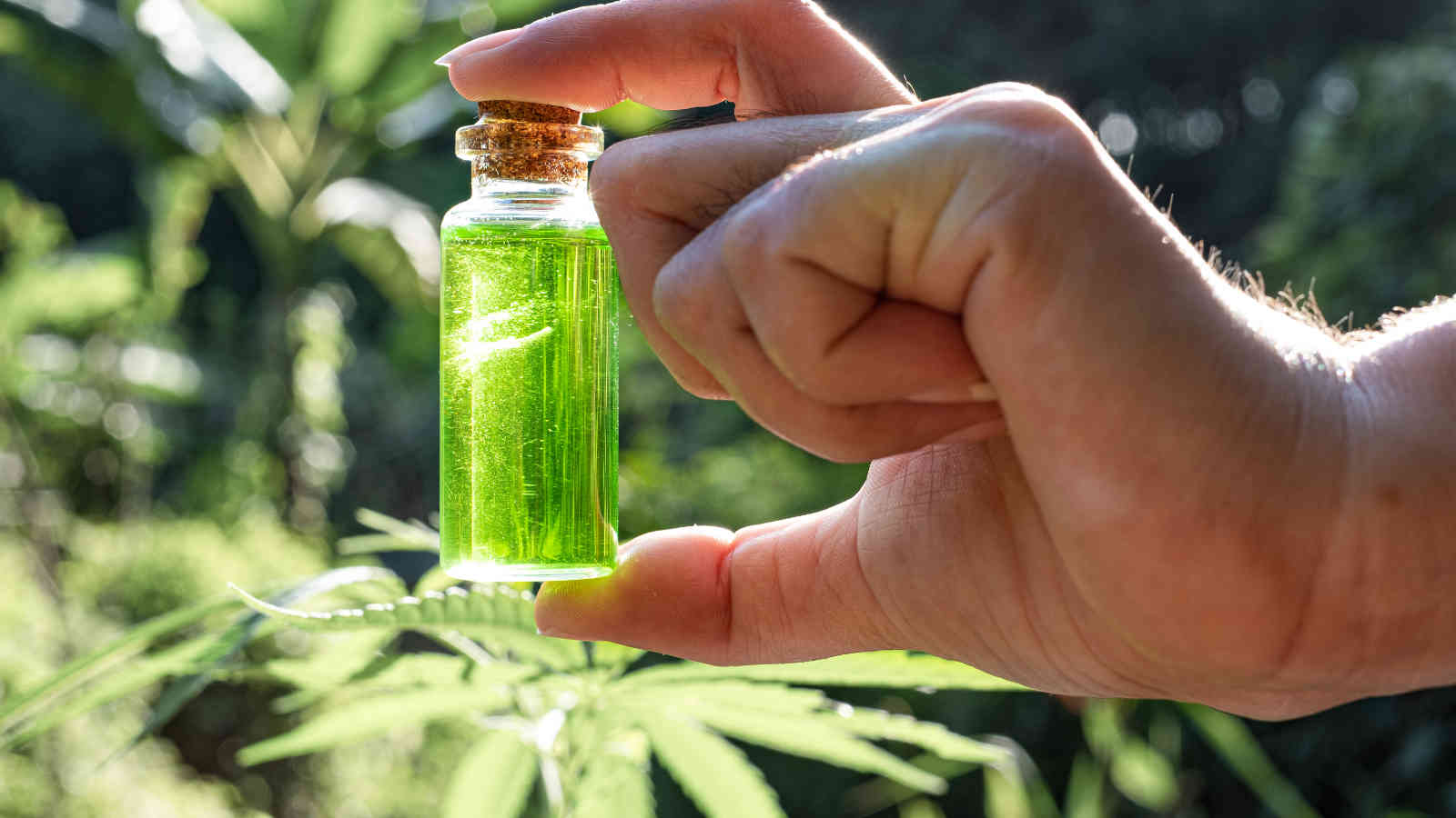 A picture of CBD oil
