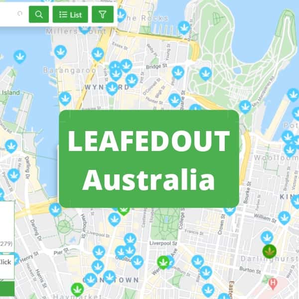 What is LeafedIn and LeafedOut? Is It Safe to Buy Weed?