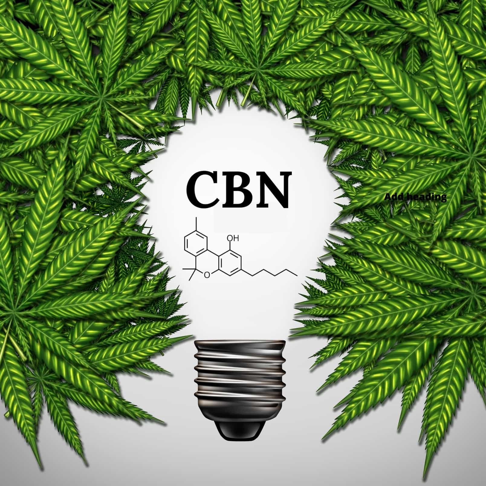 What is CBN (Cannabinol) and its Medical Benefits.