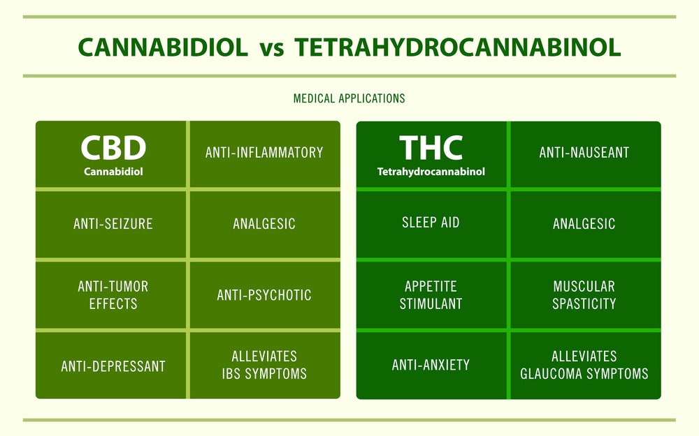 Infographic: Difference between CBD and THC